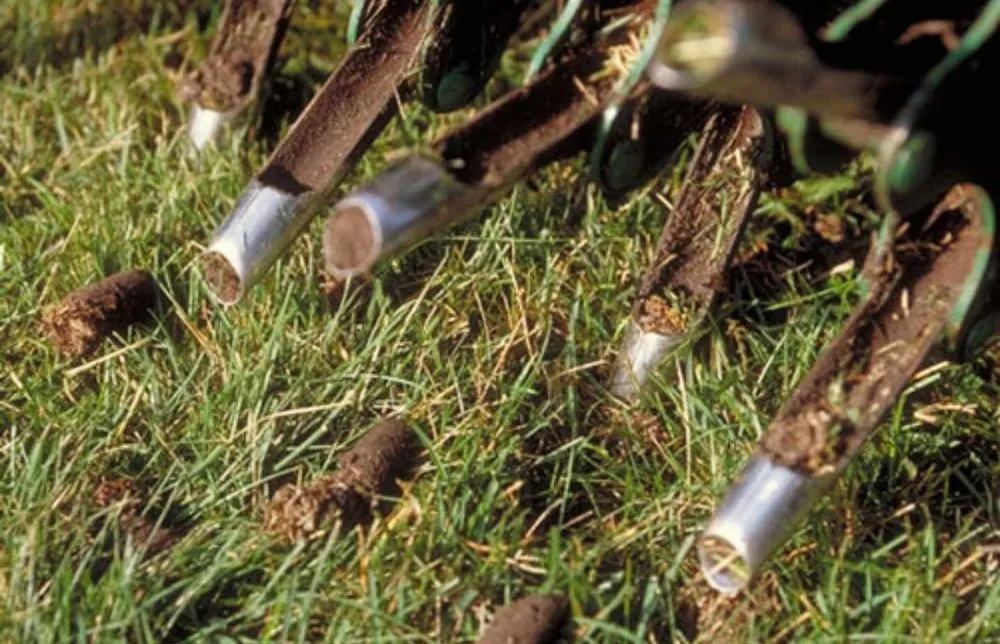 Expert outdoor landscaping near you across Hebron, IN - Cores Of The Earth