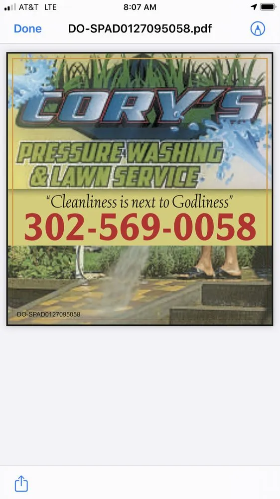 Reliable yard cleanup service in Rising Sun-Lebanon, DE - Corey Lawn Care