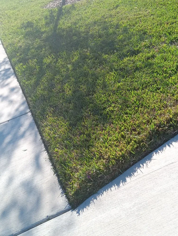 Local lawn mowing service for year-round maintenance in Plant City, FL by Corey S Yardcare Service