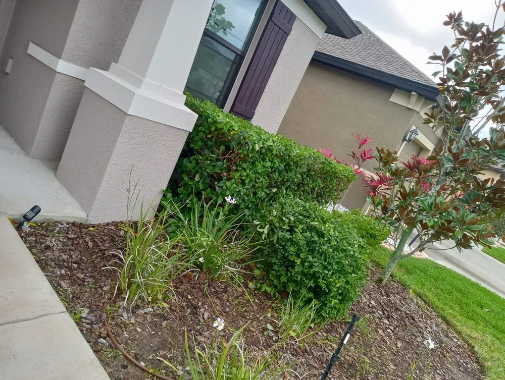 Professional landscape installation near you across Plant City, FL - Corey S Yardcare Service