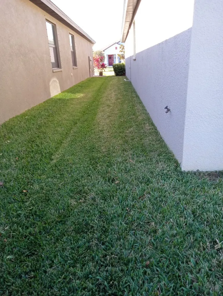 Affordable residential landscaping in Plant City, FL - Corey S Yardcare Service
