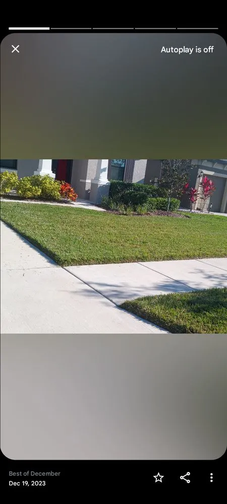 Custom landscaping services experts serving Plant City, FL - Corey S Yardcare Service