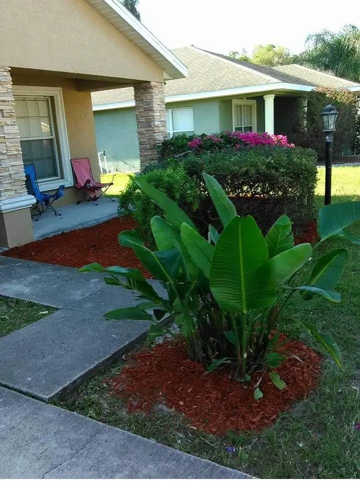 Trusted landscape installation for residential properties in Plant City, FL by Corey S Yardcare Service