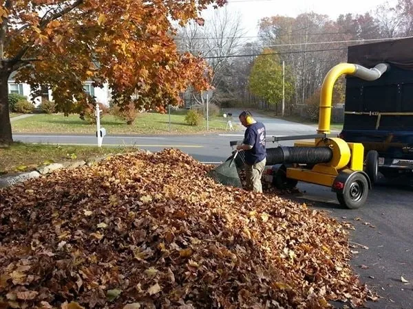Trusted yard maintenance with custom design in Haverhill, MA by Corey Tree & Landscape