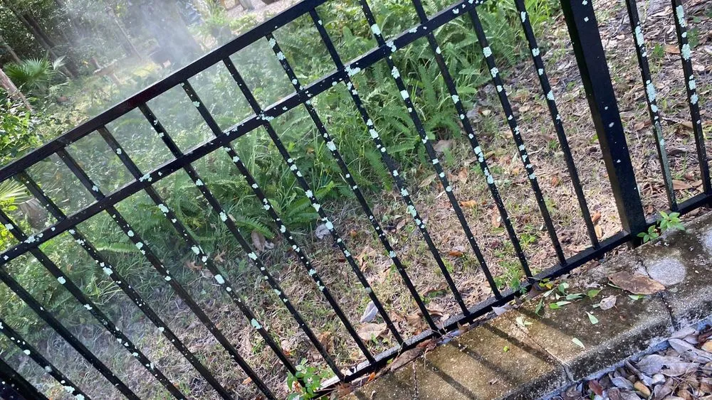 Local landscape design for homes across Homosassa, FL - Coreys Care Takening