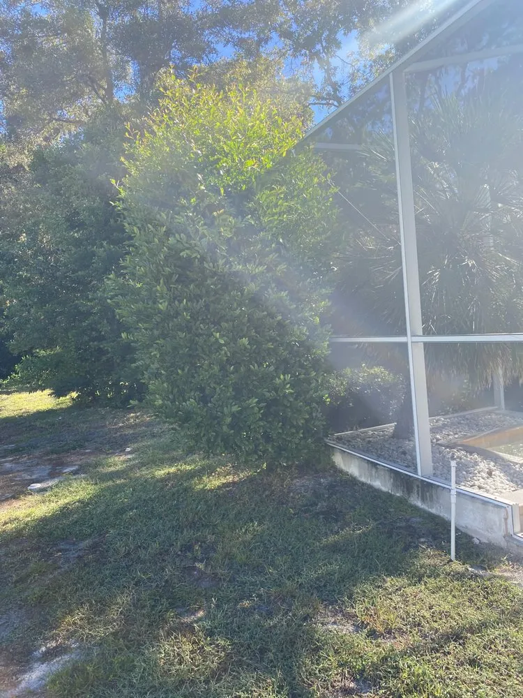 Custom lawn care service experts serving Homosassa, FL - Coreys Care Takening