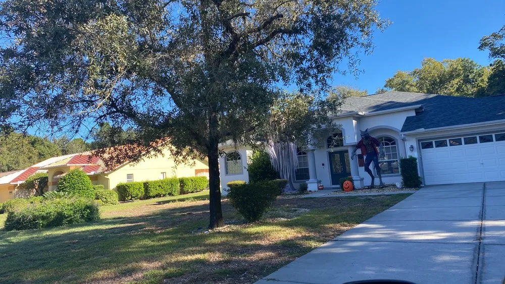 Professional garden landscaping in Homosassa, FL - Coreys Care Takening