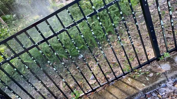 Coreys Care Takening Logo