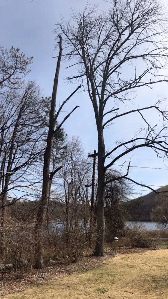 Reliable landscaping services in Bethel, CT - Corey’s General Maintenance