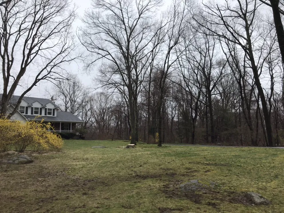 Affordable landscaping services for homes across Bethel, CT - Corey’s General Maintenance