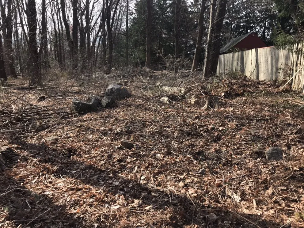 Reliable landscape design in Bethel, CT by Corey’s General Maintenance