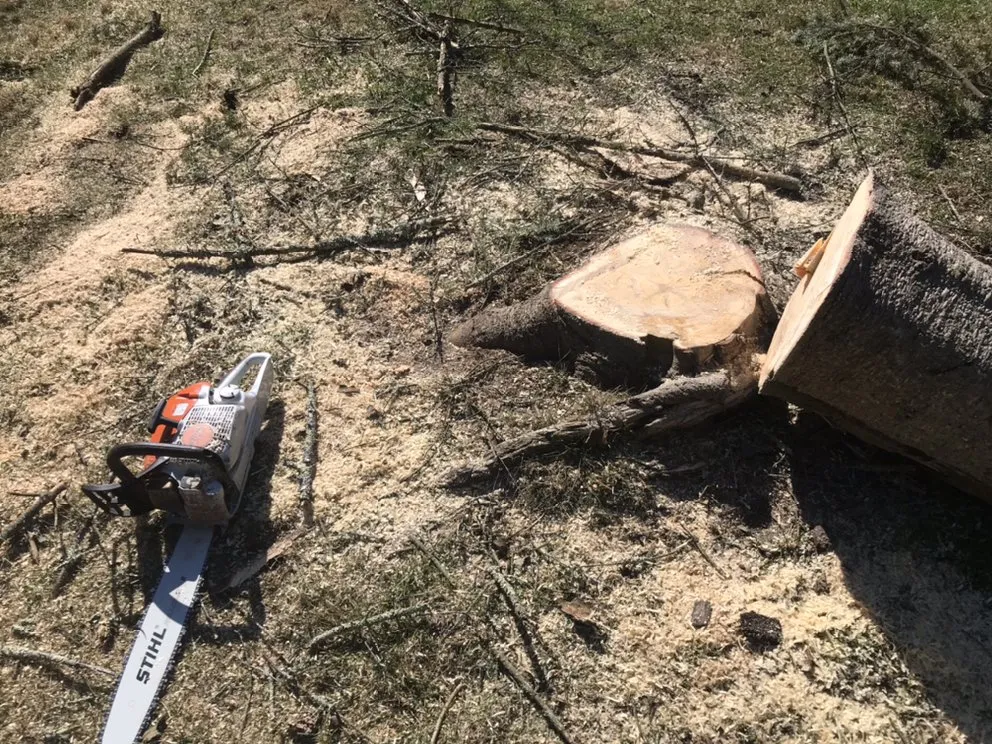 Expert yard maintenance for year-round maintenance across Bethel, CT - Corey’s General Maintenance