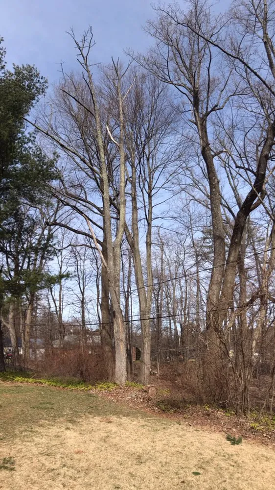 Professional outdoor landscaping for homes in Bethel, CT by Corey’s General Maintenance