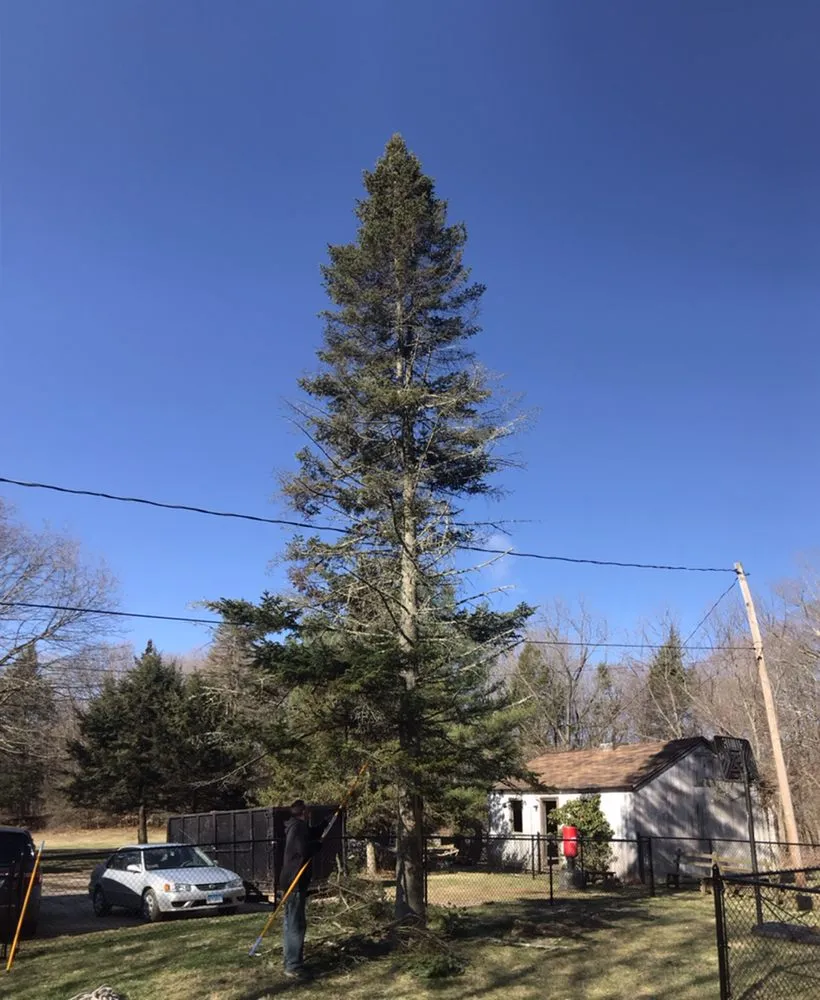 Affordable residential landscaping in Bethel, CT by Corey’s General Maintenance