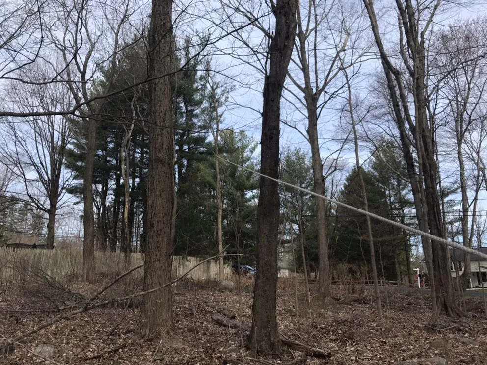 Local landscape design for outdoor upgrades in Bethel, CT by Corey’s General Maintenance