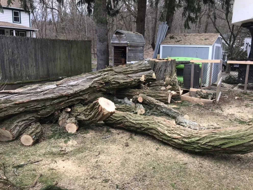 Expert landscaping services with custom design in Bethel, CT by Corey’s General Maintenance