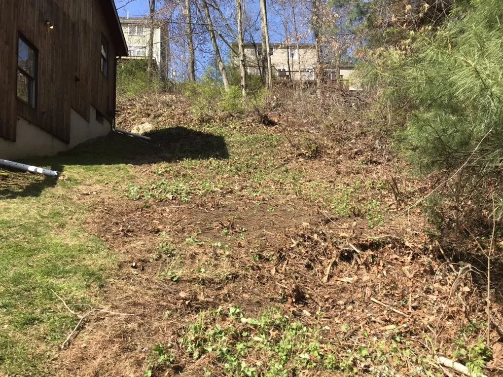 Professional yard cleanup service in Bethel, CT by Corey’s General Maintenance