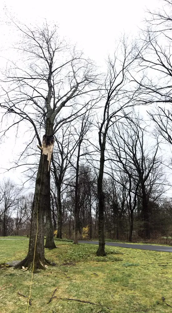 Expert landscape design in Bethel, CT by Corey’s General Maintenance