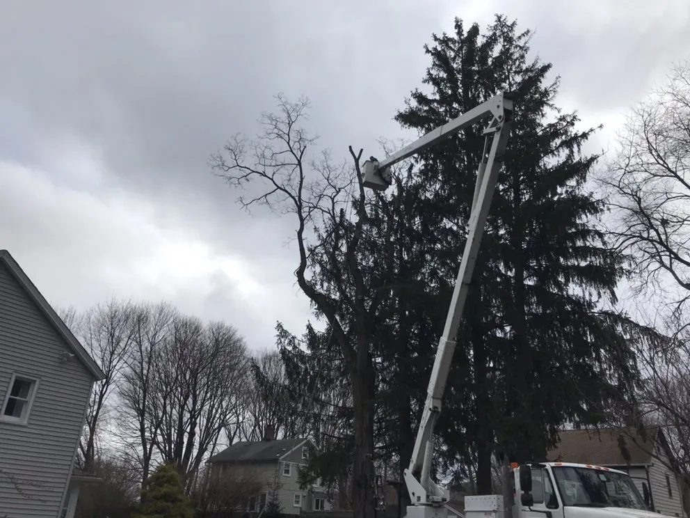 Top-rated garden landscaping in Bethel, CT - Corey’s General Maintenance