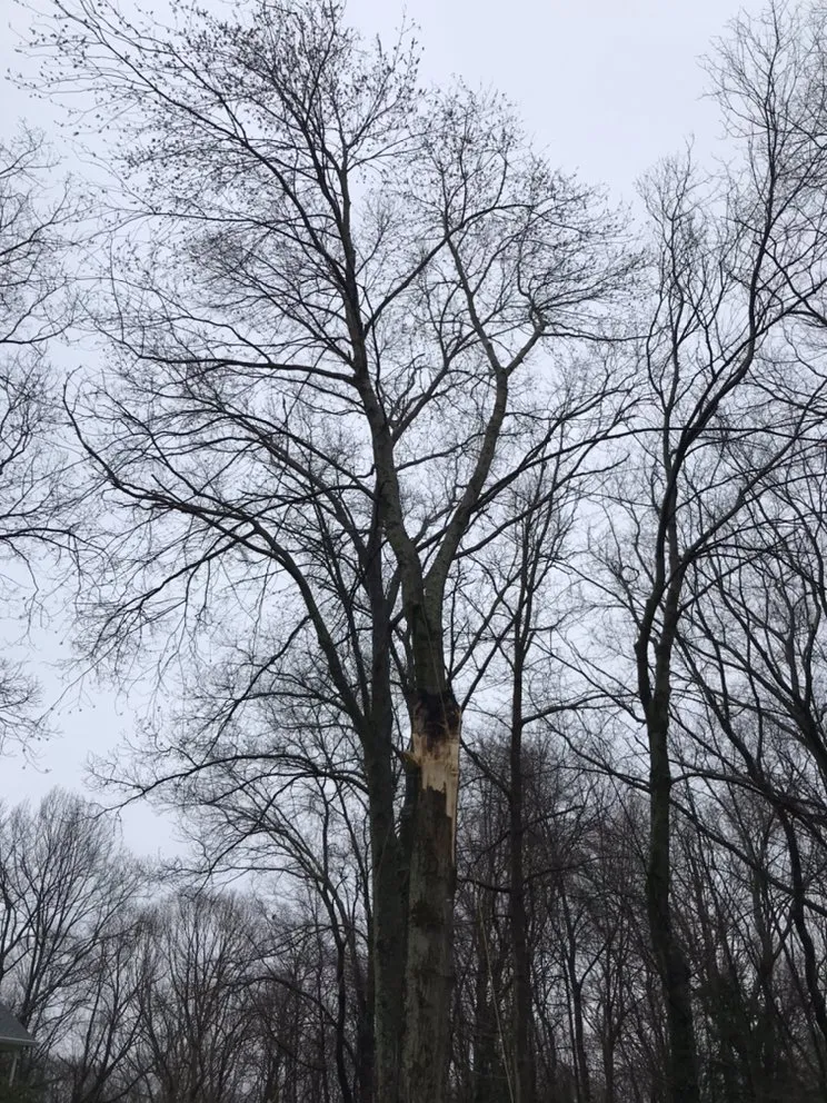 Reliable landscape design in Bethel, CT - Corey’s General Maintenance