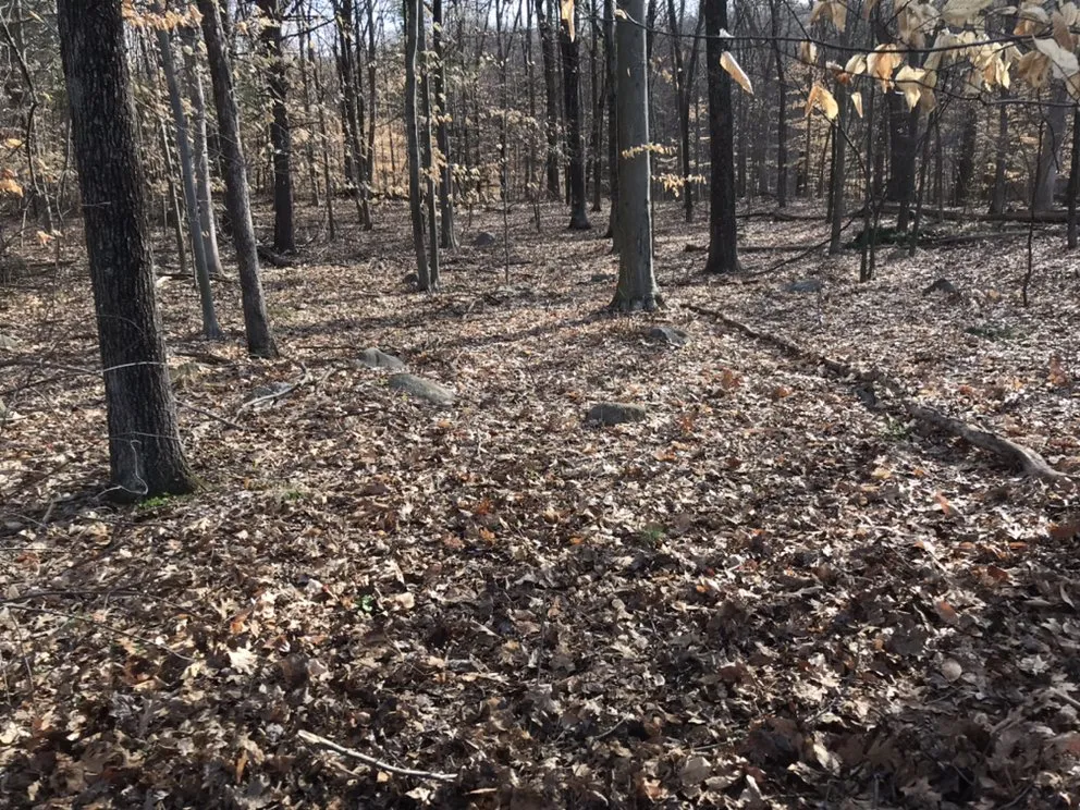 Custom lawn care service for residential properties across Bethel, CT - Corey’s General Maintenance