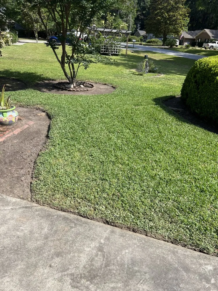 Expert yard cleanup service for year-round maintenance across Beaufort, SC - Corey’s Landscaping