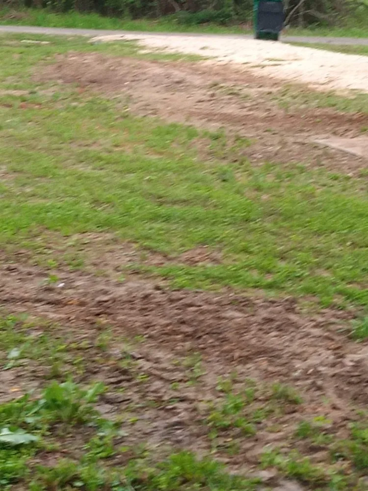 Local landscape installation for year-round maintenance in Onalaska, TX by Corey's Lawn Care and Light Landscaping