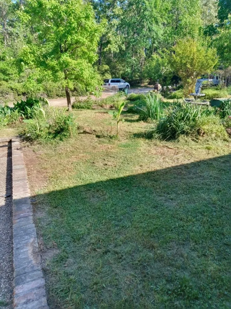 Reliable lawn mowing service for homes in Onalaska, TX by Corey's Lawn Care and Light Landscaping