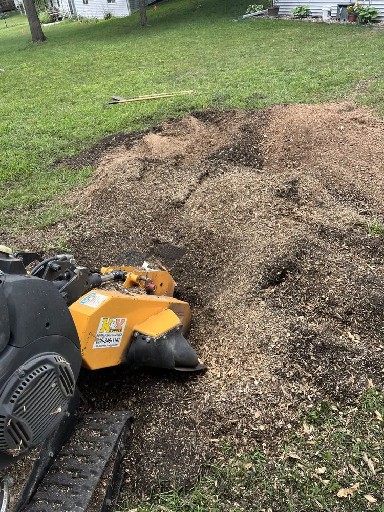 Top-rated landscape design for homes in Dodge Center, MN by Corey's Outdoor Services