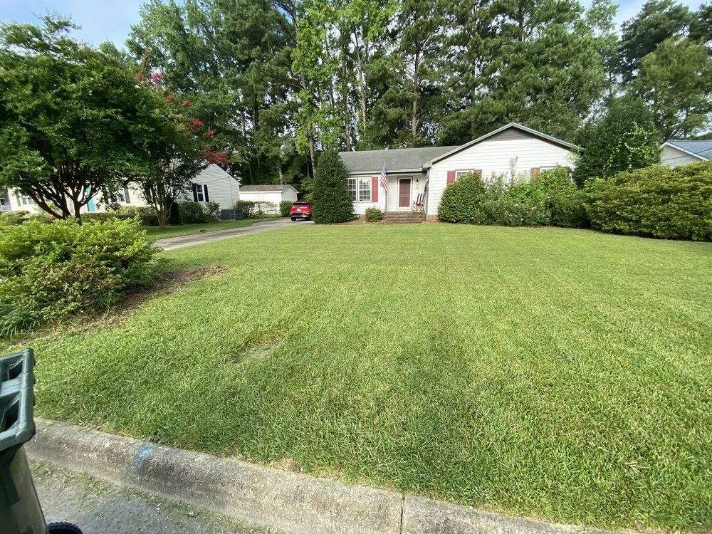 Trusted yard cleanup service in Wilson, NC by Coreyscleancuts