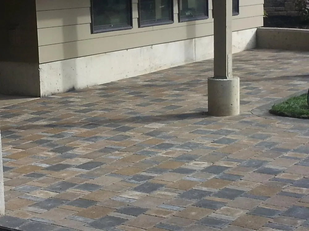 Top-rated lawn mowing service in Ferndale, WA by Corion Landscape Management