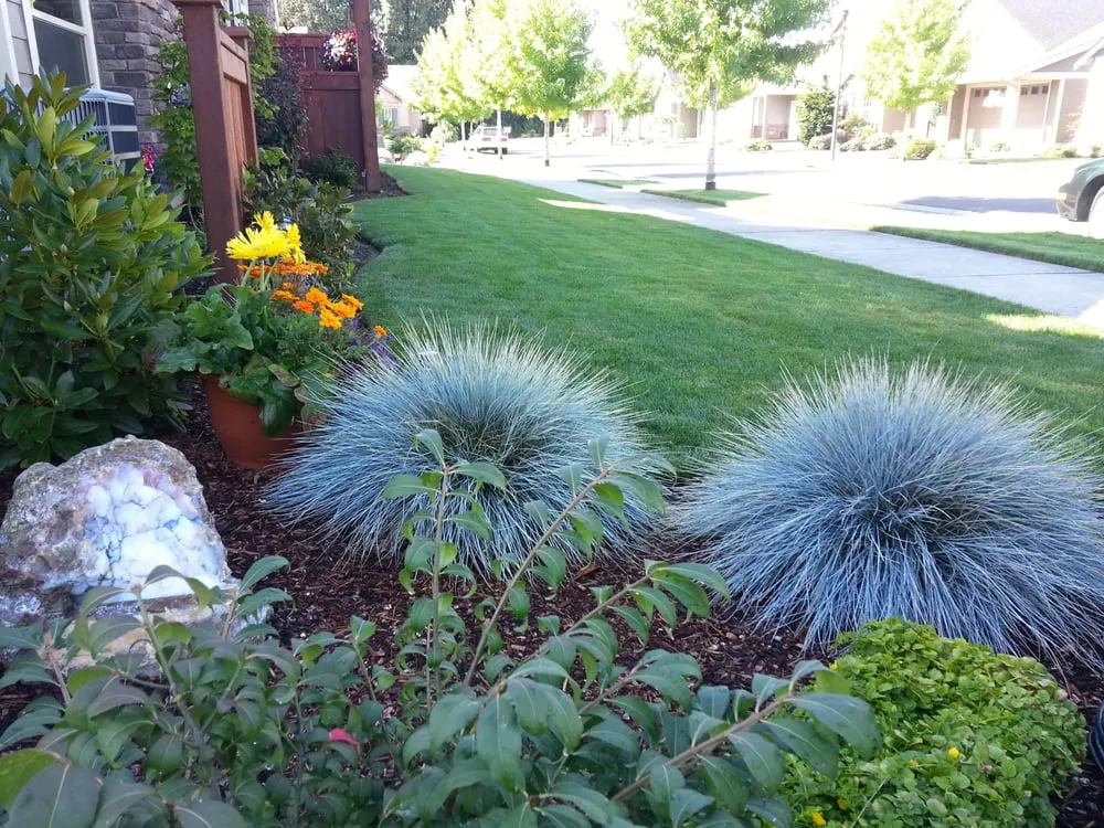 Expert landscape design for outdoor upgrades across Ferndale, WA - Corion Landscape Management