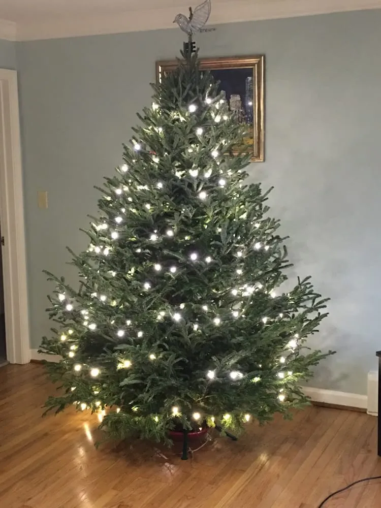 Custom yard cleanup service for homes across Collegeville, PA - Corkum Tree Farm