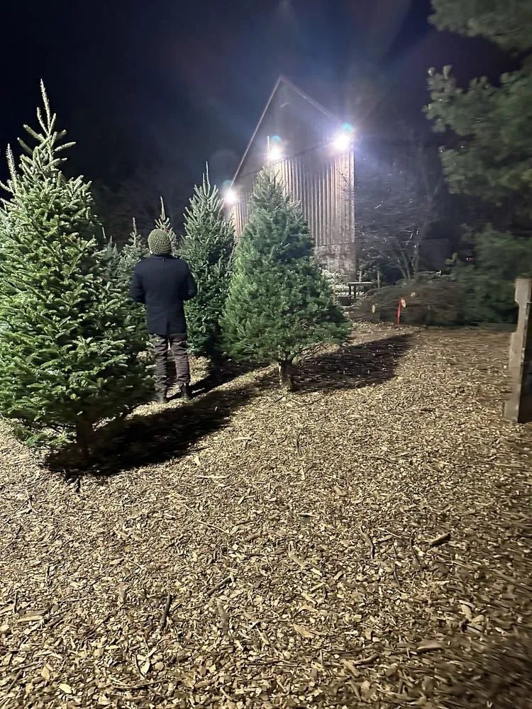 Expert yard maintenance experts serving Collegeville, PA - Corkum Tree Farm