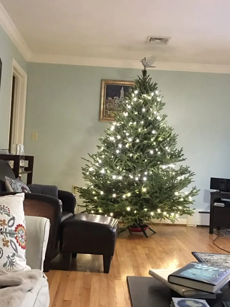 Affordable landscaping services for year-round maintenance across Collegeville, PA - Corkum Tree Farm