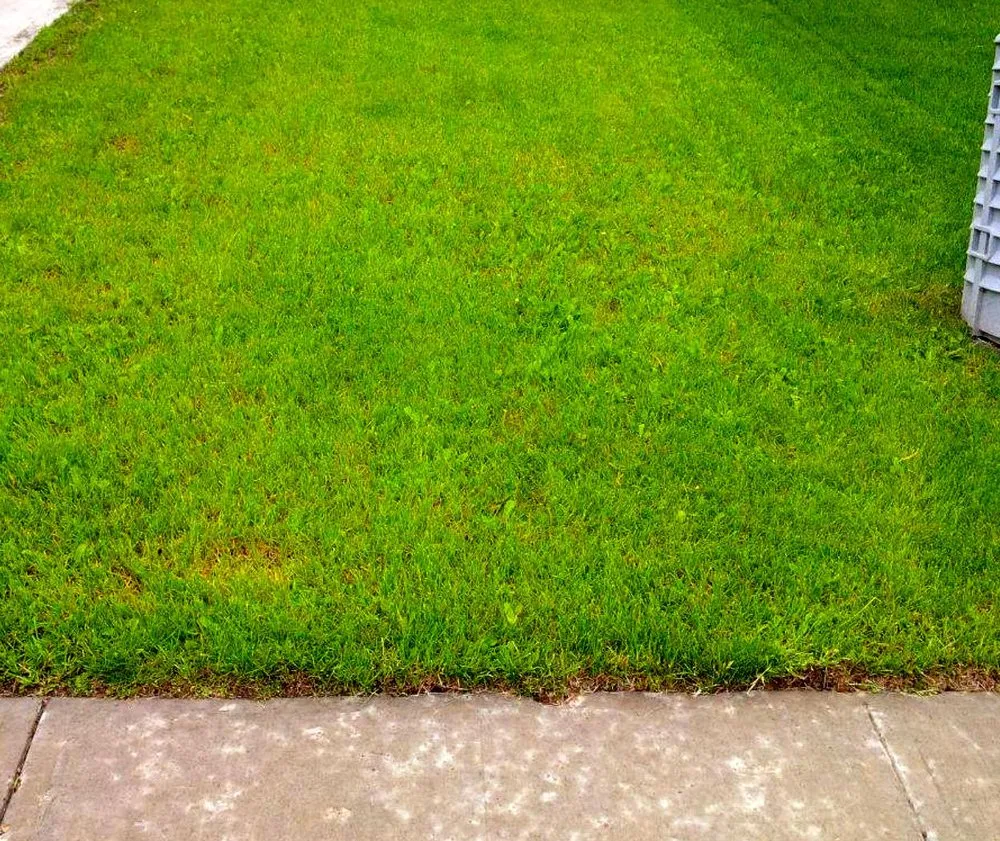 Reliable landscaping services near you in Cleveland, OH by Corlett Lawn Services