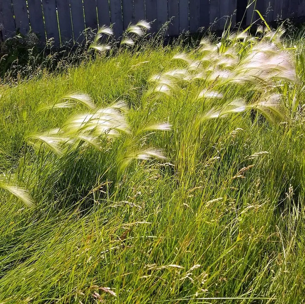 Reliable landscape installation in Cleveland, OH - Corlett Lawn Services