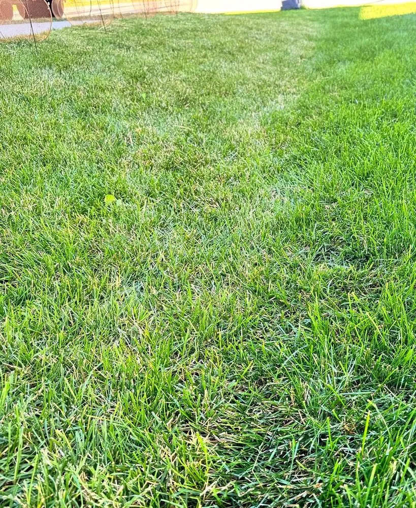 Reliable outdoor landscaping in Cleveland, OH by Corlett Lawn Services