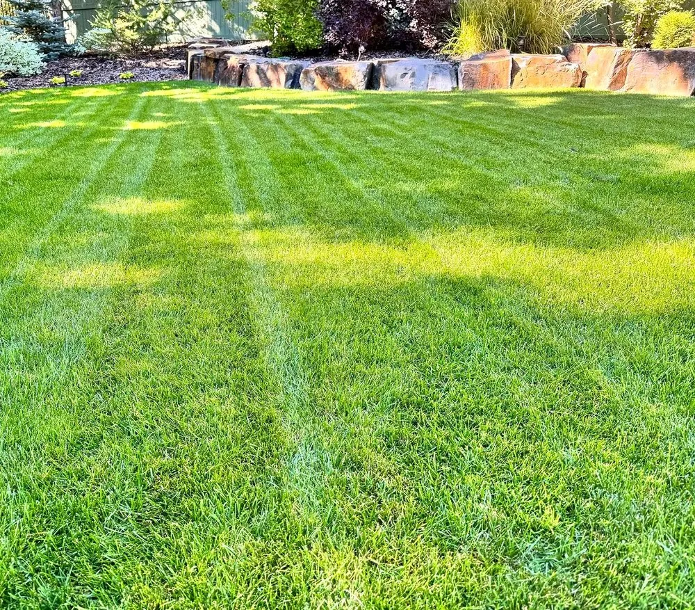 Local yard maintenance for outdoor upgrades in Cleveland, OH by Corlett Lawn Services