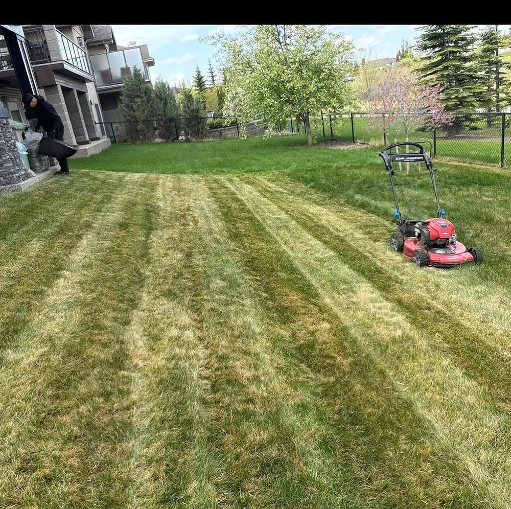 Local landscaping services in Cleveland, OH by Corlett Lawn Services