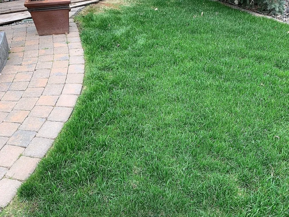 Top-rated residential landscaping for year-round maintenance in Cleveland, OH by Corlett Lawn Services