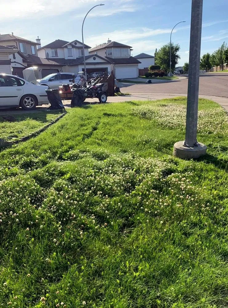 Top-rated landscaping services with custom design across Cleveland, OH - Corlett Lawn Services