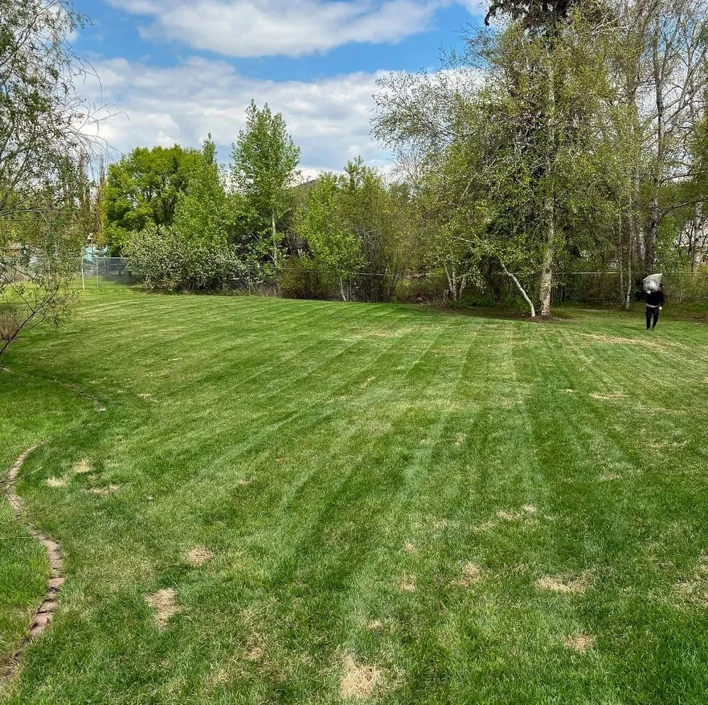 Local outdoor landscaping for beautiful yards in Cleveland, OH by Corlett Lawn Services