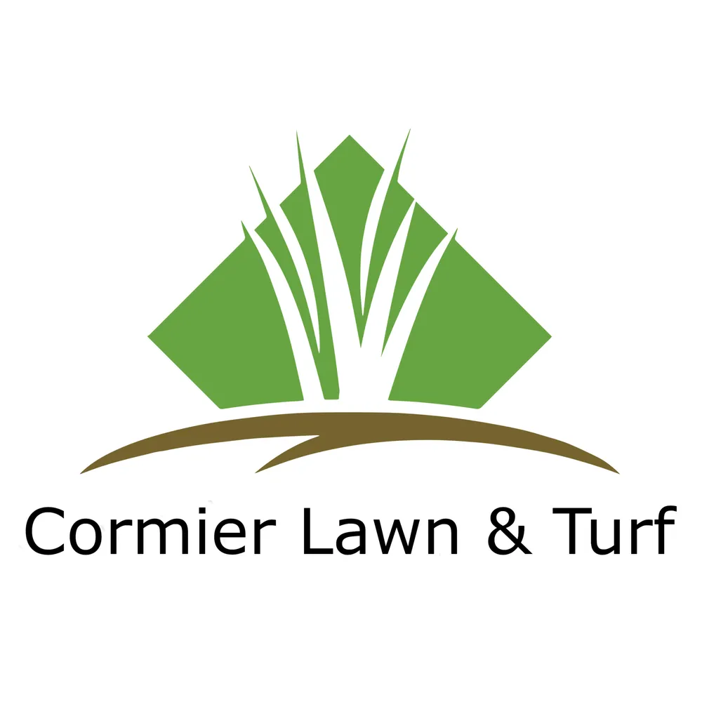 Custom yard cleanup service for outdoor upgrades in Houston, TX by Cormier Lawn & Turf