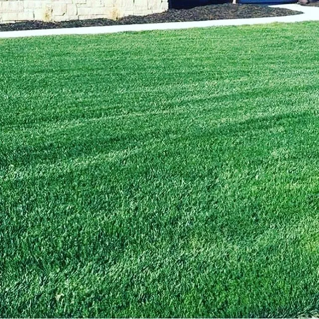 Reliable landscape design experts serving Lafayette, LA - Cormier Lawn & Turf