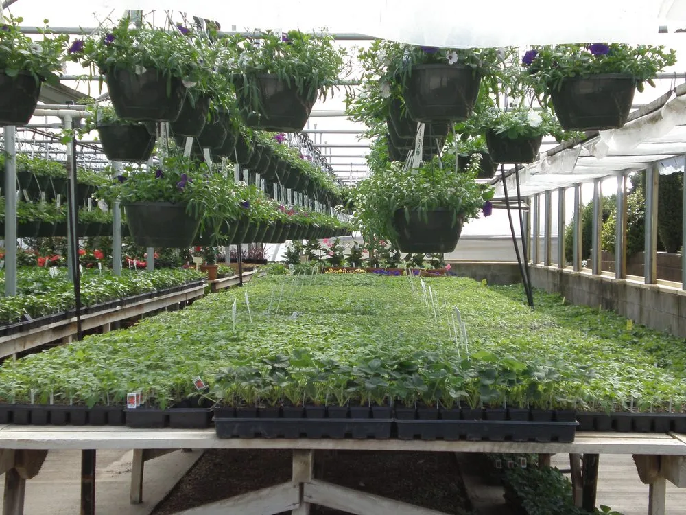 Expert lawn mowing service for year-round maintenance across Coal Valley, IL - Corn Crib Nursery