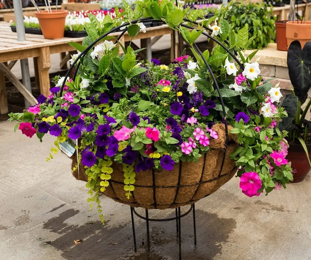 Custom landscape installation for residential properties across Coal Valley, IL - Corn Crib Nursery