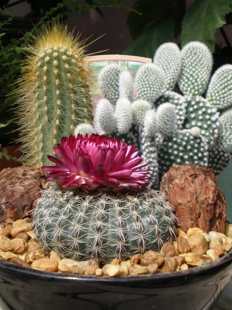 Expert yard maintenance in Coal Valley, IL by Corn Crib Nursery