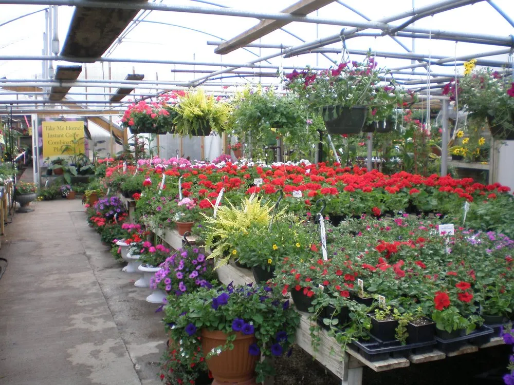 Trusted yard cleanup service experts serving Coal Valley, IL - Corn Crib Nursery