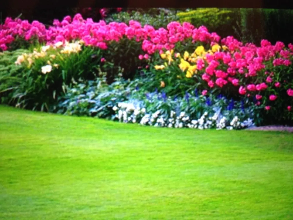 Reliable landscaping services in Shreveport, LA - Cornelius Lawn & Landscaping